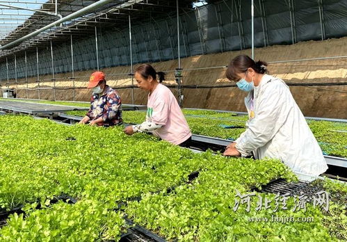 農業科技向新而行，希望田野喜看豐景