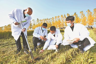 科技賦能，綠色希望——‘開元上院杯’臨沂日報新聞攝影大賽農業技術研究專題作品集錦