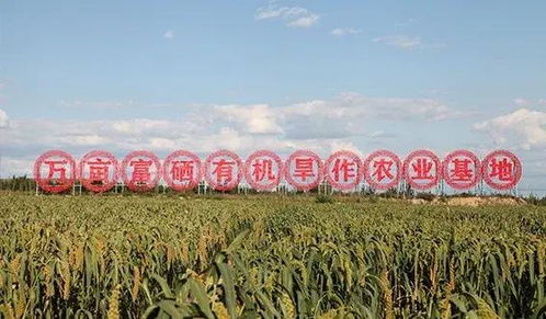 山西農業大學領導深入考察有機旱作關鍵技術與試驗示范基地，推動農業技術研究創新