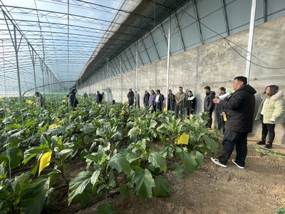 科技賦能 產業騰飛——市農科院助力山東省蔬菜產業高質量發展