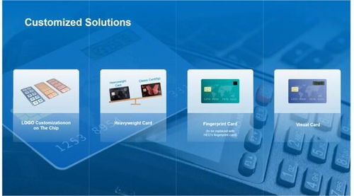 華大電子重磅亮相Seamless 2025，用芯助力數字安全新時代技術服務